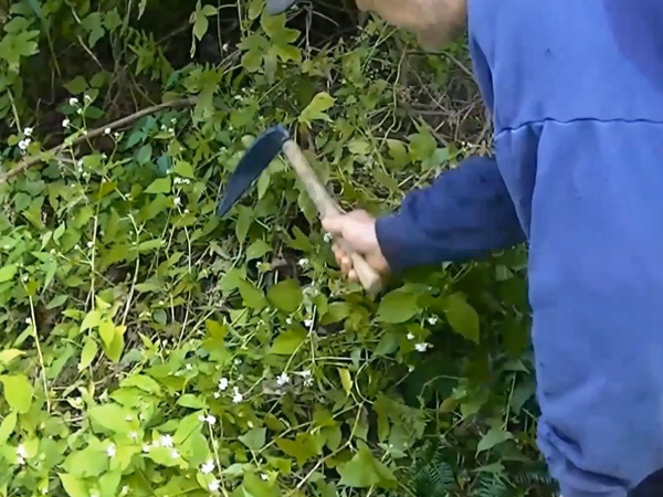 鎌の使い勝手を追い続ける