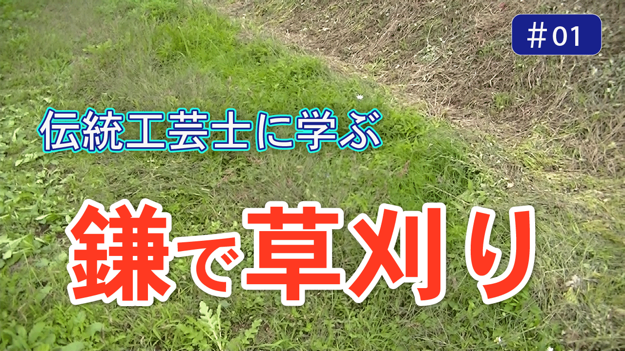 動画1のサムネイル