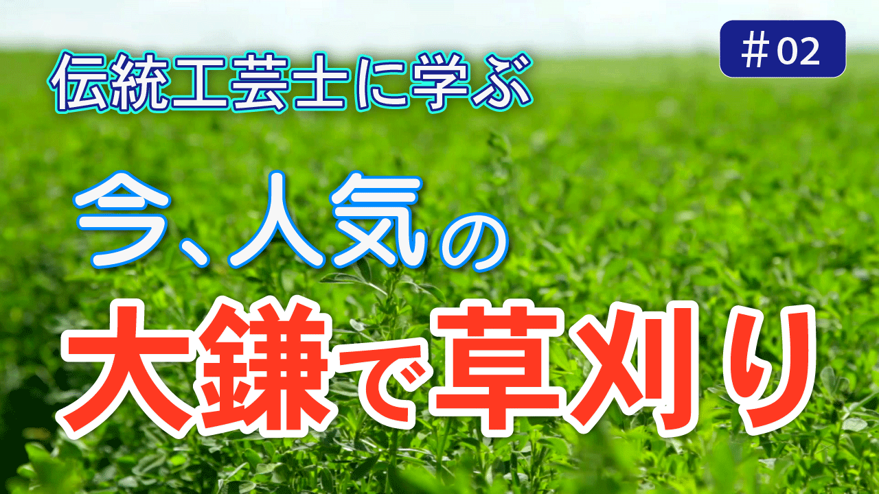 動画2のサムネイル