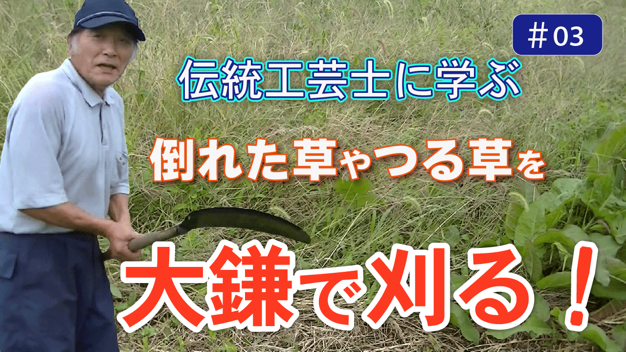 動画3のサムネイル