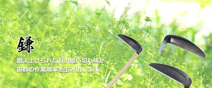 信州打刃物の手打ち鎌は素晴らしい切れ味